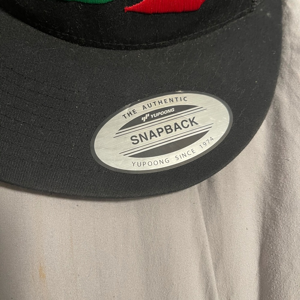 SnapBack hat - Picture 2 of 4